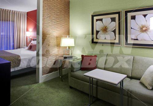 holiday in SpringHill Suites by Marriott Memphis Downtown