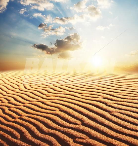 Sahara desert, Djerba island