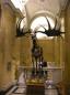 Naturhistorisches Museum, Vienna, Austria, Naturhistorisches Museum, Vienna