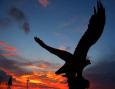 Eagles Square, Langkawi Island, , Eagles Square, Langkawi Island