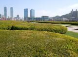 Xinhai square, Dalian, China, Xinhai square, Dalian