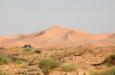 Sahara desert, Djerba island, Tunisia, Sahara desert, Djerba island