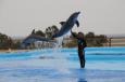 Friguia park, Sousse, Tunisia, Friguia park, Sousse